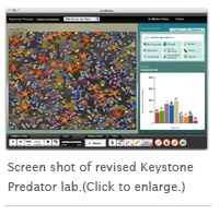 Screen_Shot of Keystone Predator.jpg