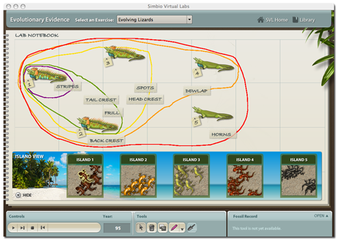Evolutionary Evidence lab simulates evolved lizard populations over time