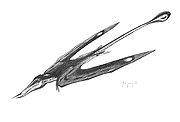 180px-Rhamphorynchus_gemmingi_jconway.jpg
