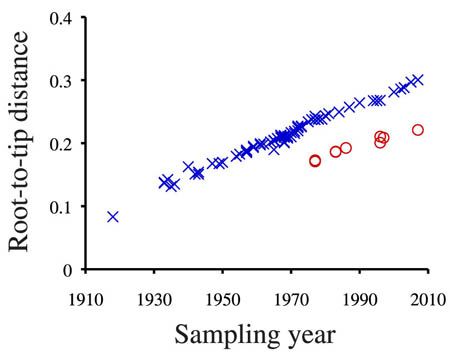 Figure of Clock Plot