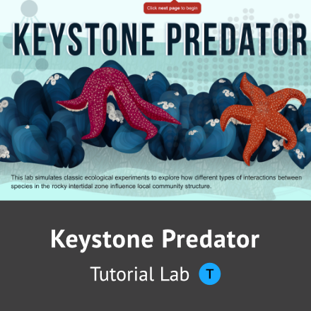 Keystone Predator module