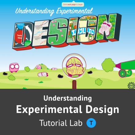 Understanding Experimental Design module