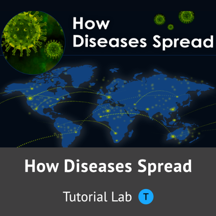 How Diseases Spread