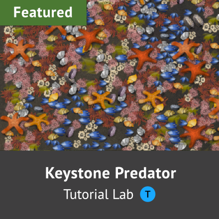 Keystone Predator