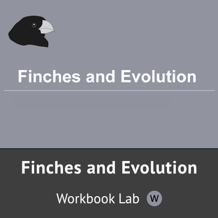 Finches and Evolution