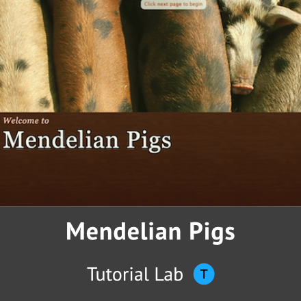 Mendelian Pigs