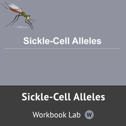 Sickle-Cell Alleles