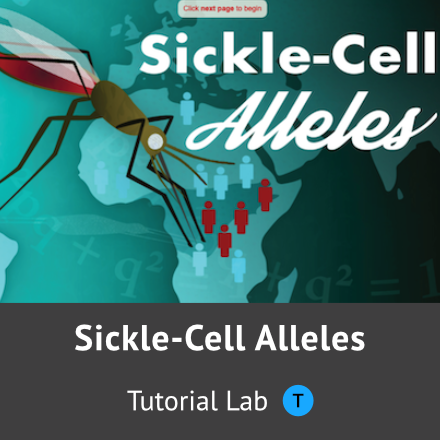 Sickle Cell Alleles