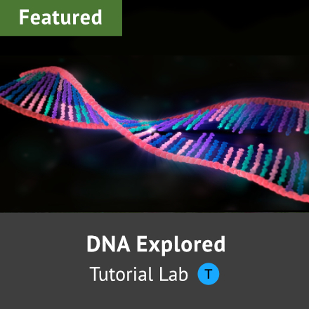 DNA Exploored Tutorial Lab
