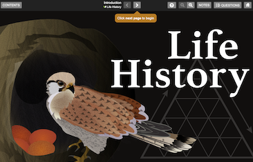Life History interactive chapter