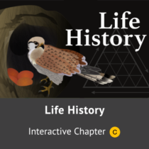 module_life_history