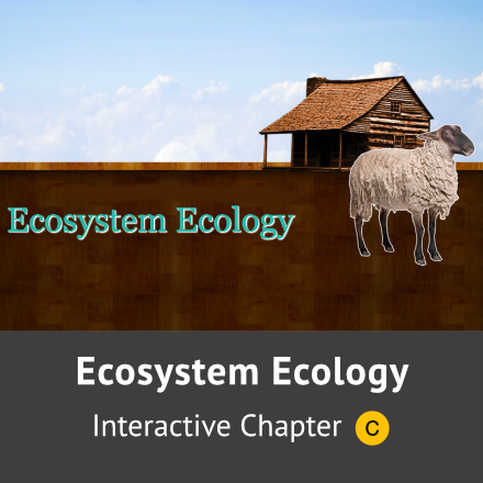 Ecosystem Ecology Chapter