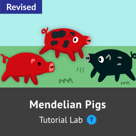 Mendelian Pigs tutorial