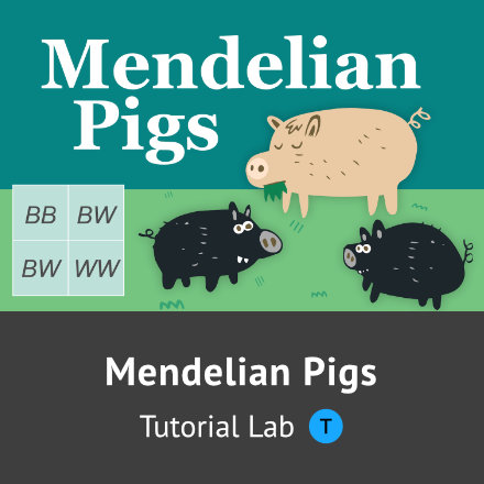 Mendelian Pigs tutorial