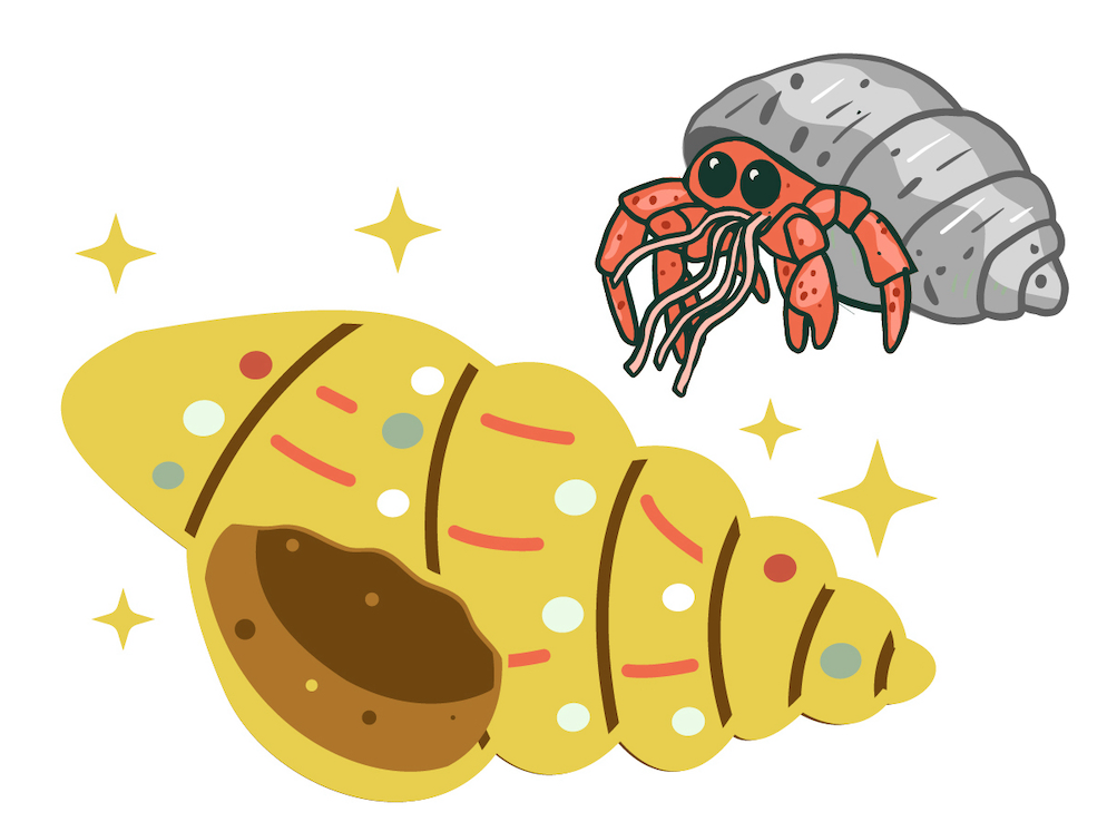 Hermit crab upgrade