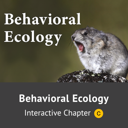 Behavioral Ecology