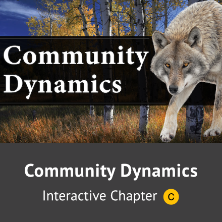 Community Dynamics