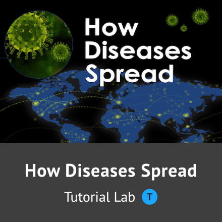 How Diseases Spread