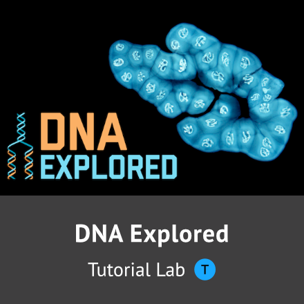 DNA Explored