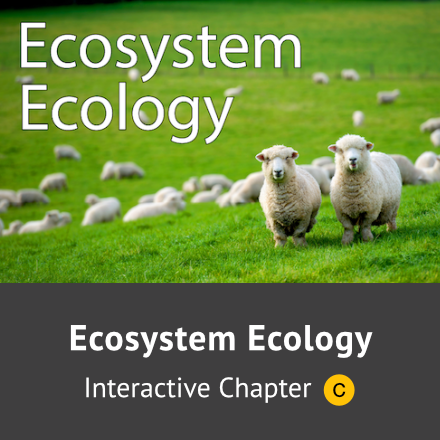 Ecosystem Ecology