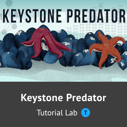 Keystone Predator