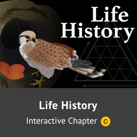Life History