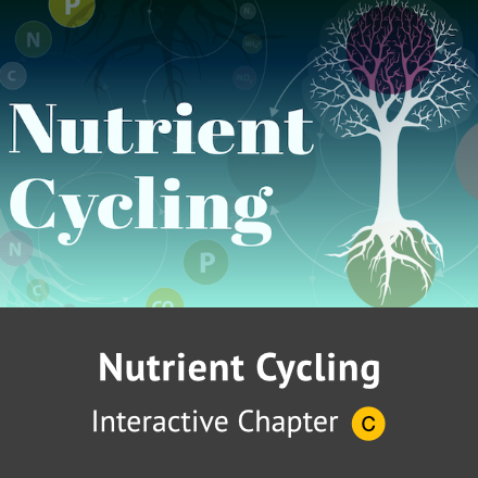 Nutrient Cycling