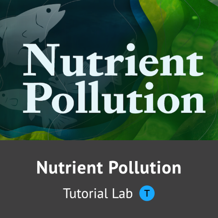 Nutrient Pollution