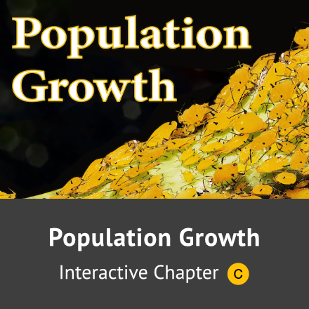 Population growth