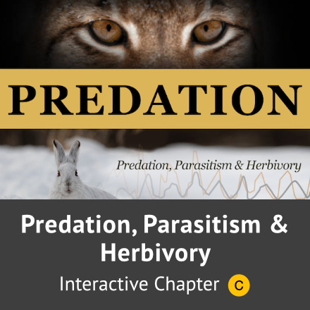 Predation, Parasitism, Herbivory