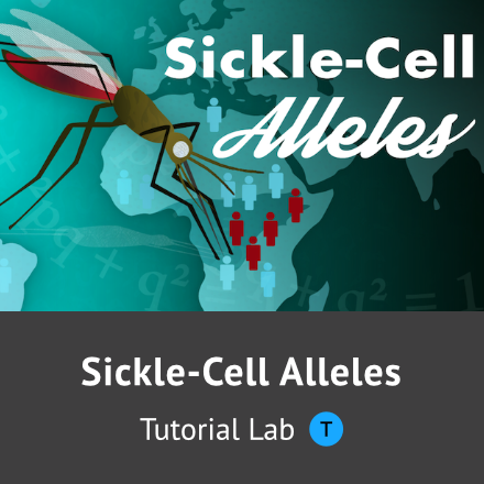 Sickle-Cell Alleles