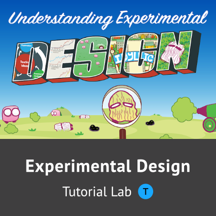 Understanding experimental deisgn