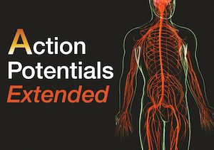 Action Potentials Extended