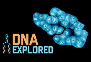 DNA Explored