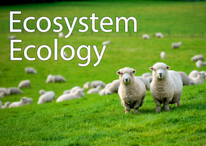 Ecosystem Ecology