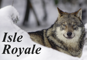 Isle Royale