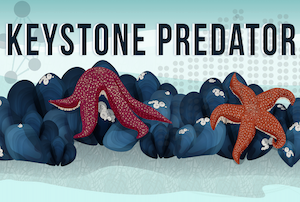 Keystone Predator
