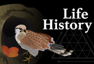 Life History