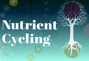 Nutrient Cycling