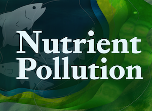 Nutrient Pollution