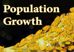Population growth