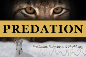 Predation, parasitism, herbivory