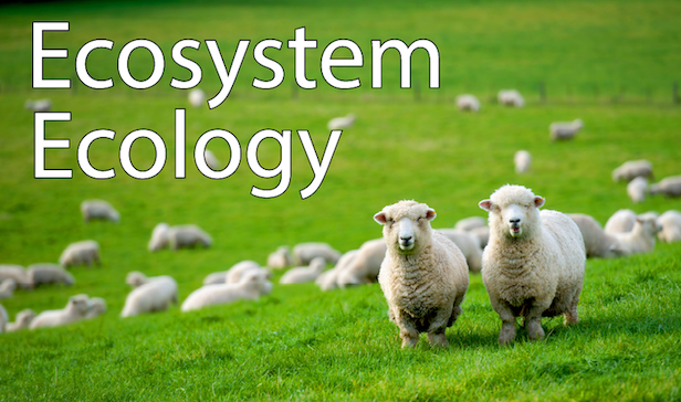 Ecosystem Ecology demo video