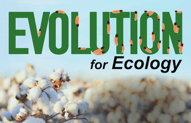 Evolution for Ecology demo video