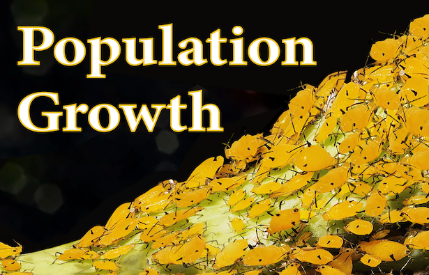 Population Growth chapter