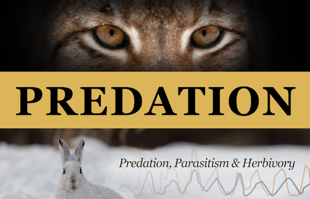 Predation