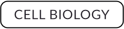 Cell Biology