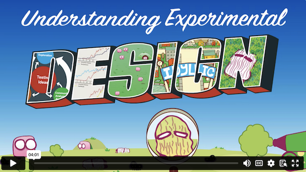 Understanding Experimental Design demo video