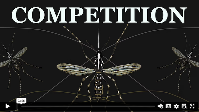 Competition demo video
