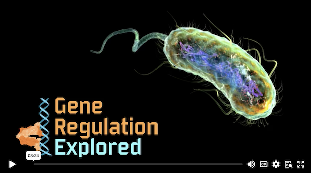 Gene Regulation Explored demo video